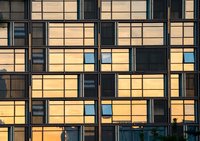 © xiaoliangge | AdobeStock