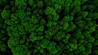 © marcin jucha | AdobeStock