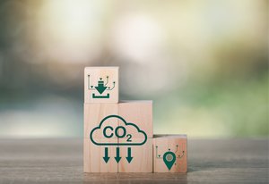 © chaylek | AdobeStock