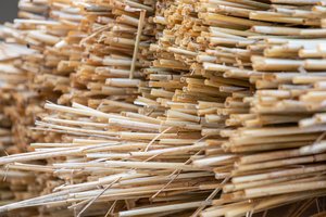 © Serhii | AdobeStock
